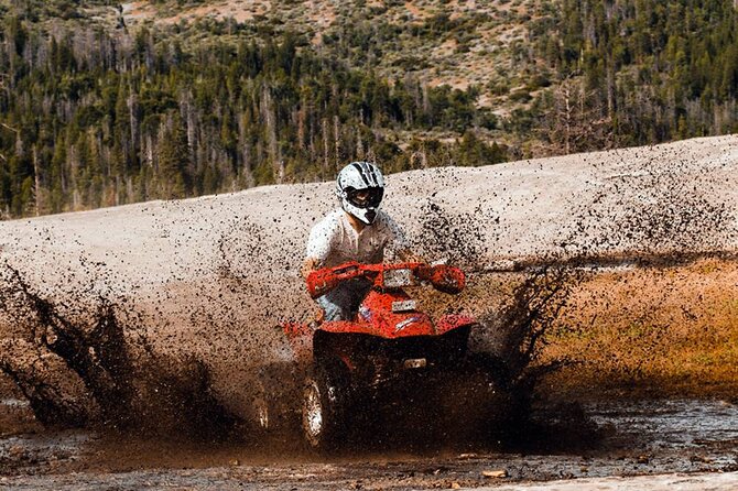 Quad Biking in Belek Forests & Taurus Mountains - Short stops in the forest: breaks that help you enjoy the ride
