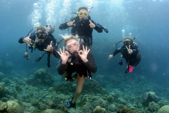 Scuba Diving in Antalya from Antalya & Kemer - Underwater session one: from the surface to 5 meters
