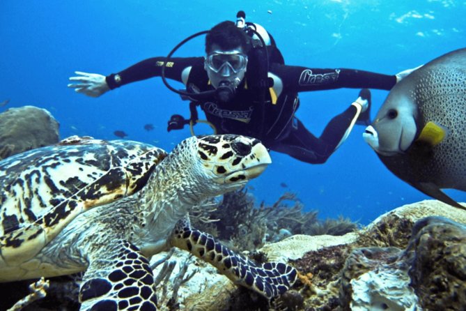 Scuba Diving Tour - Key Things to Know Before You Go
