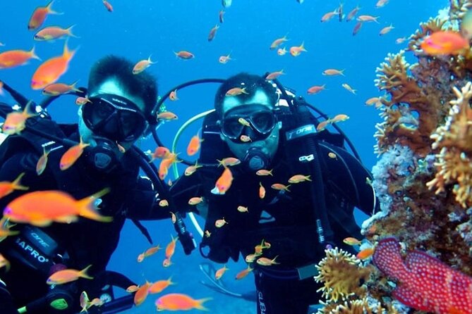 Scuba Diving Tour - Life Between Sessions: Snorkel Breaks, Swimming, and Sun Time
