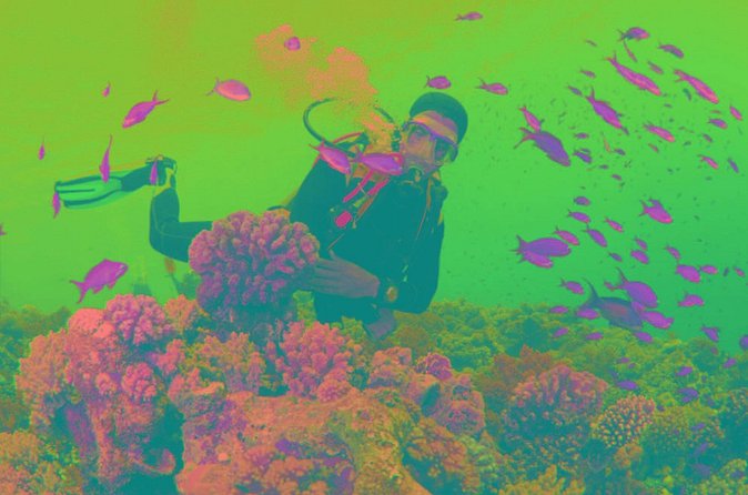 Scuba Diving Tour - What to Bring: Towels, Suits, and Sun Protection That Actually Matters