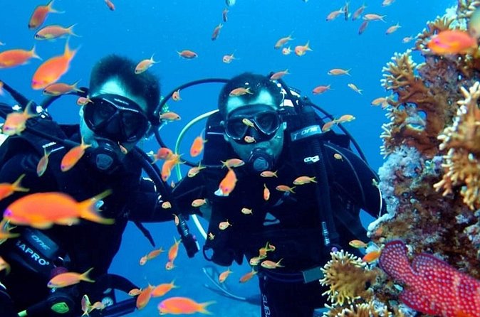 Scuba Diving Tour - Who This Tour Fits Best (And Who Should Skip It)