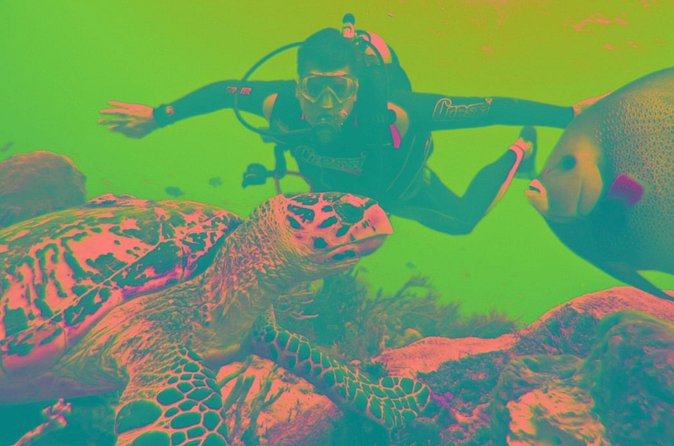 Scuba Diving Tour - Weather and the Mediterranean Reality Check