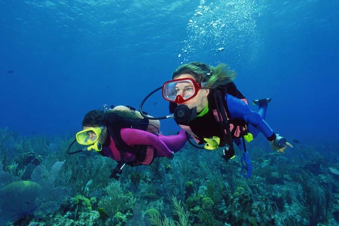 Scuba Diving Tour From Alanya - Side - Antalya - Your beginner lesson: equipment, sign-language, and the surface breathing drill