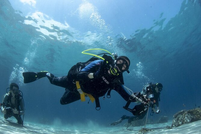Scuba Diving Tour - Your 8:30 Start at Solymos Travel, Then Straight to the Sea