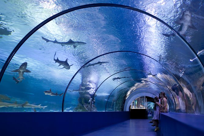 Side: Antalya Aquarium Ticket With Optional Transfer - Price and Value: Is $48.17 a Good Deal?
