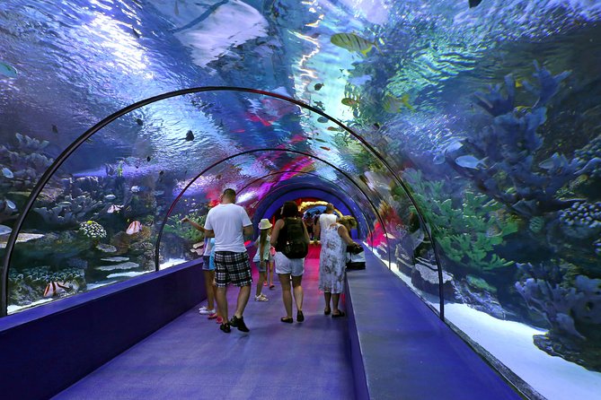 Side: Antalya Aquarium Ticket With Optional Transfer - Face2Face Wax Museum: Why the Extra Stop Is Worth It