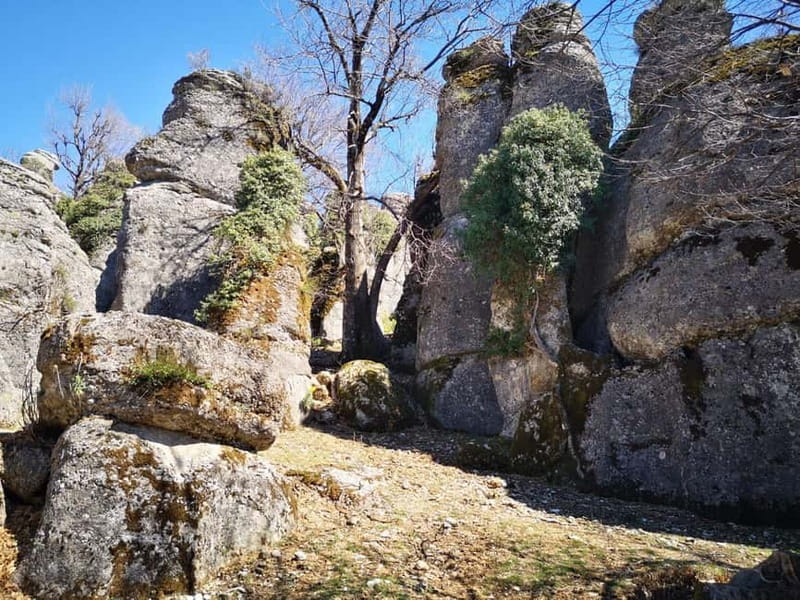 SideAlanya: Jeep Safari, Tazi Canyon, and Selge Theater Tour - Selge Theater: Ancient Seating, Mountain Views, and Atmosphere